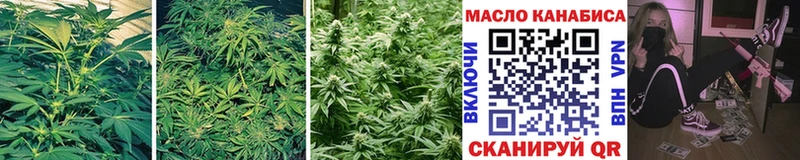 продажа наркотиков  Лангепас  KRAKEN зеркало  Дистиллят ТГК THC oil 